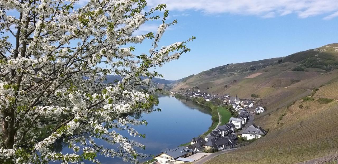 Mosel-Appartements Nehren Zell an der Mosel Exterior photo